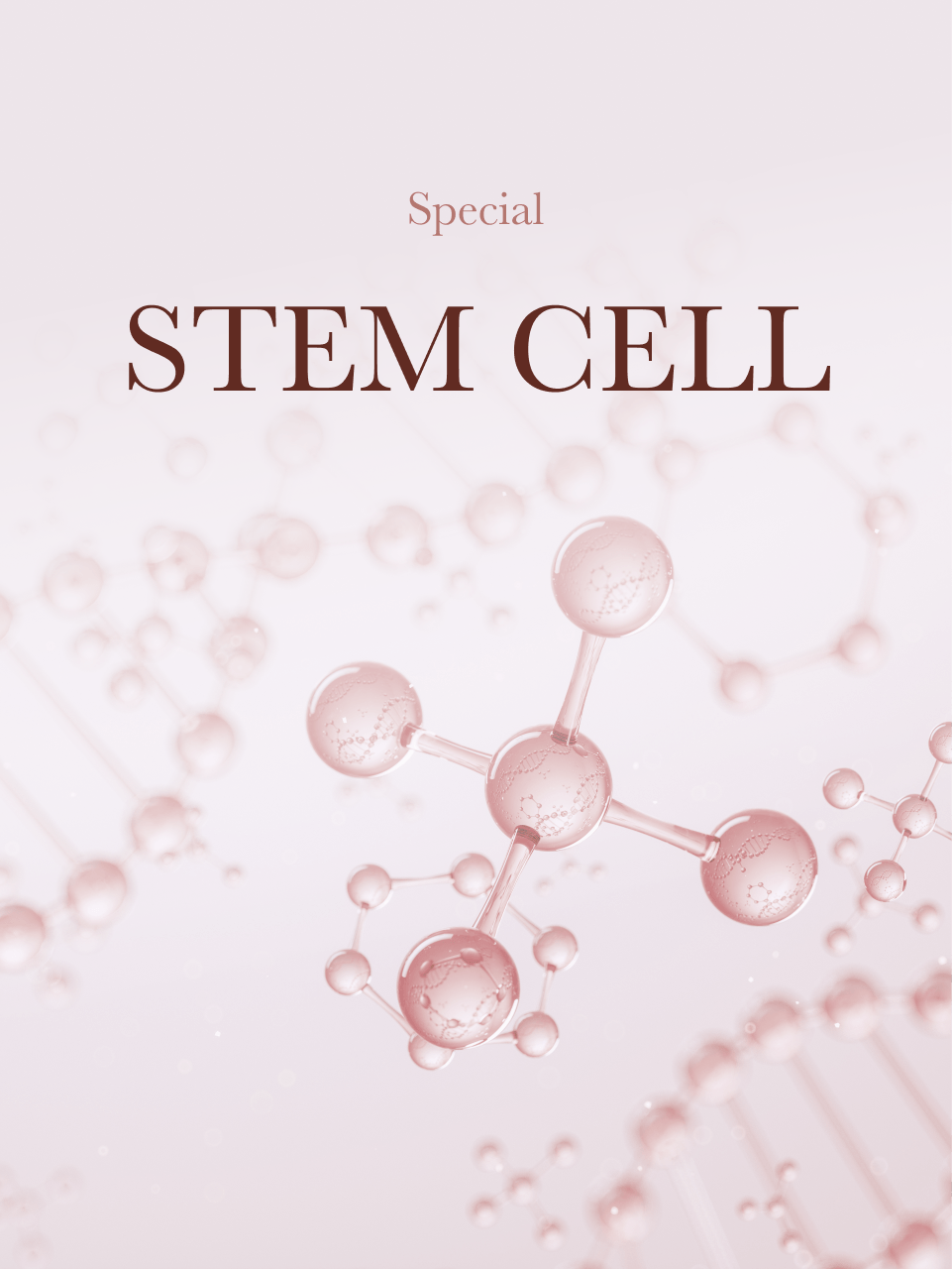 Stem Cells